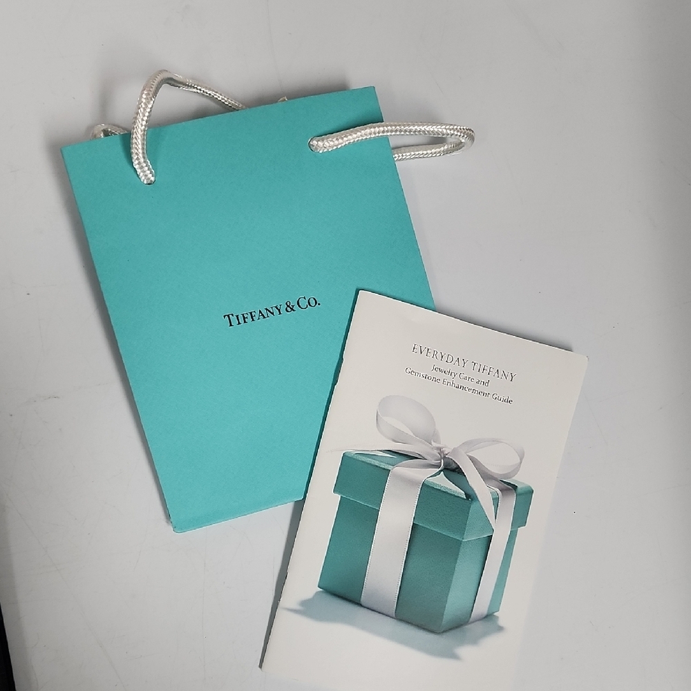 Tiffany & Co. Turquoise Bag with Booklet